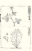 photo27_small.jpg