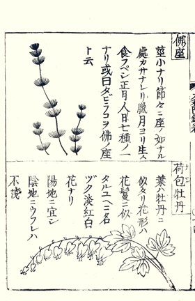 photo28.jpg