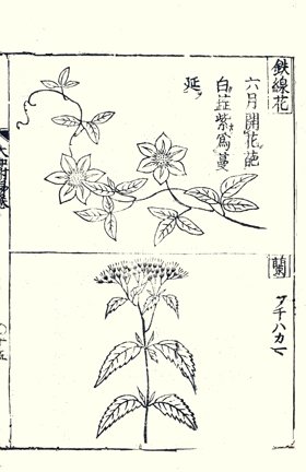 photo29.jpg