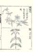 photo29_small.jpg