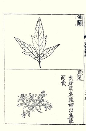 photo30.jpg