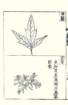 photo30_small.jpg