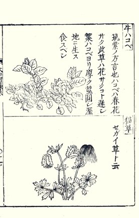 photo33.jpg