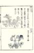 photo33_small.jpg
