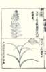 photo34_small.jpg