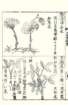 photo36_small.jpg