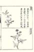 photo37_small.jpg