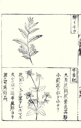 photo38.jpg