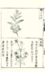 photo38_small.jpg