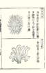 photo39_small.jpg