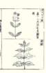 photo41_small.jpg
