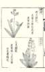 photo48_small.jpg