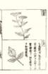 photo49_small.jpg