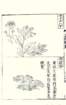 photo50_small.jpg