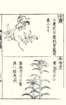photo51_small.jpg