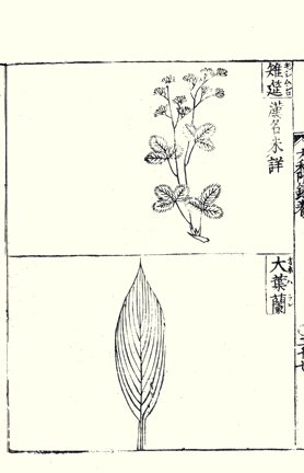 photo54.jpg