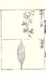 photo54_small.jpg