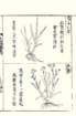 photo55_small.jpg