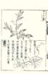 photo56_small.jpg