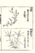 photo57_small.jpg