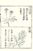 photo59_small.jpg