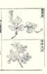 photo5_small.jpg