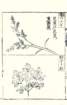 photo60_small.jpg