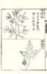 photo64_small.jpg