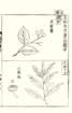 photo65_small.jpg