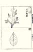 photo66_small.jpg