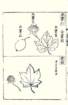 photo6_small.jpg