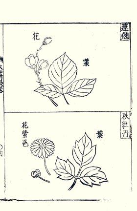 photo7.jpg