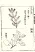 photo70_small.jpg