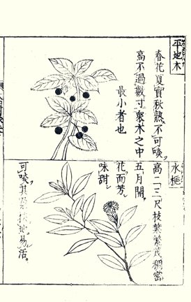 photo71.jpg