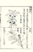 photo71_small.jpg