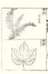 photo76_small.jpg