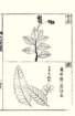 photo79_small.jpg