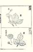 photo7_small.jpg