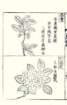 photo80_small.jpg