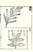 photo81_small.jpg