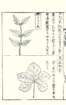 photo88_small.jpg