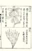 photo89_small.jpg