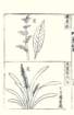 photo8_small.jpg