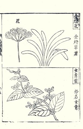 photo9.jpg
