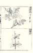 photo95_small.jpg