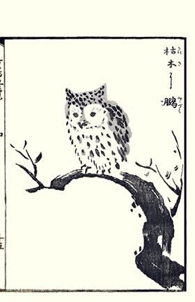 photo19.jpg