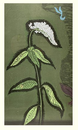 photo64.jpg