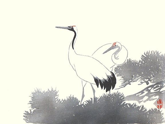 photo18.jpg