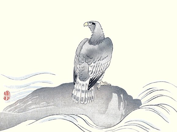 photo20.jpg