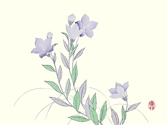 photo21.jpg